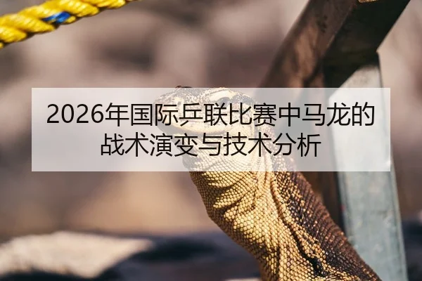 2026年国际乒联比赛中马龙的战术演变与技术分析