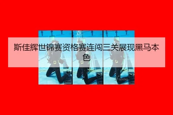 si-jia-hui-shi-jin-sai-zi-ge-sai-lian-chuang-san-guan-zhan-xian-hei-ma-ben-se-3-763.jpg