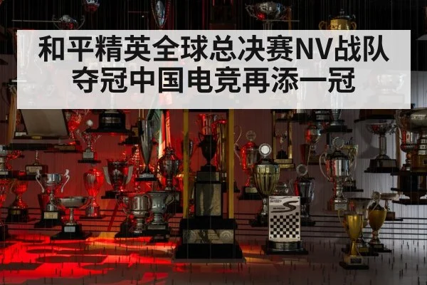 和平精英全球总决赛NV战队夺冠中国电竞再添一冠